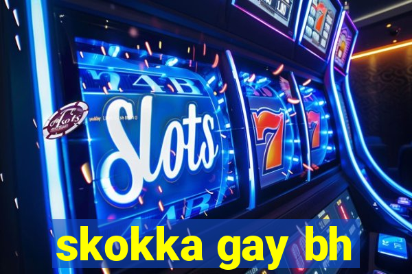 skokka gay bh